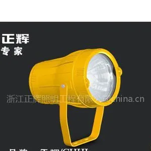 供应高亮度防爆投光灯