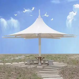 ��Ӧ����ͤĤ�ṹ����СƷ