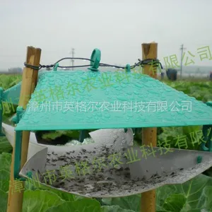 供应英格尔小菜蛾性诱剂小船型诱捕器小菜蛾诱芯小菜蛾引诱剂小青虫诱捕器小菜蛾诱捕器