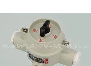 供应SW-10系列防爆照明开关