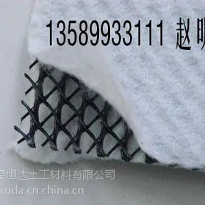 供应排水网13589933111三维复合排水网厂家