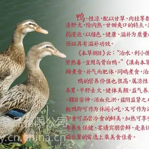 ��Ӧ���Ͻ���Ѽ***�����ϵ�***��ҵƷ��