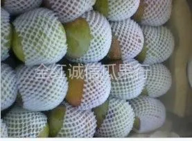 供应秋季李子