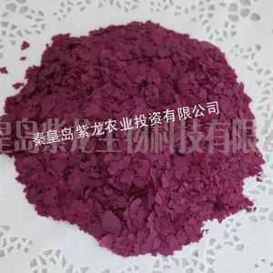 供应紫薯全粉