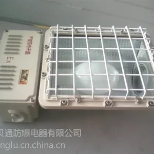 400W防爆泛光灯 户外防爆泛光灯