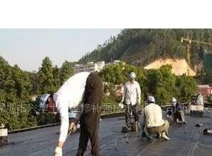 供应深圳防水公司,福田防水公司,南山防水公司,龙岗防水公司,坪山防水公司,宝安防水公司