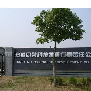 安徽同兴科技发展有限责任公司