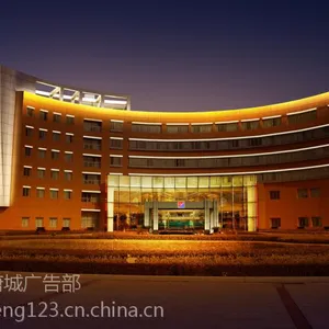 唐河县LED亮化工程专业施工制作