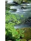 供应纳米银抗菌剂织物抗菌剂抗菌整理助剂