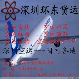 深圳市环东国际货运代理有限公司