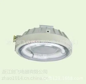 供应BAY53-22系列防爆环形荧光灯(ⅡC)
