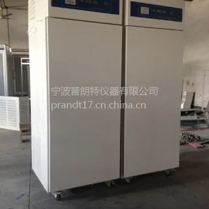 低温光照培养箱