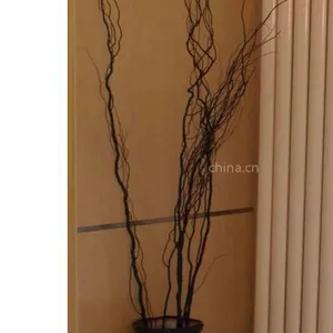 供应钢管扁双柱一体片头散热器