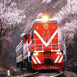 义乌至阿拉木图/塔什干的铁路运输