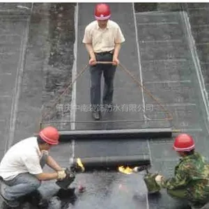 肇庆中南装饰防水有限公司