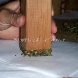供应漳平水仙 龙岩水仙 南洋水仙 福建水仙茶