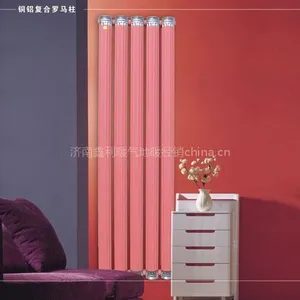 供应铜铝复合罗马E柱散热器