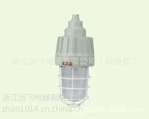 供应BAD61-系列防爆灯(IIC)