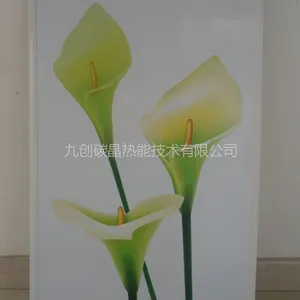 供应供应大量九创碳晶墙暖/电热板/采暖器/取暖器