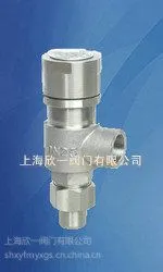 供应不锈钢安全阀A21W-100P