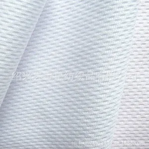 供应鸟眼布 ***运动服面料 全涤面料 网眼布面料 剪样