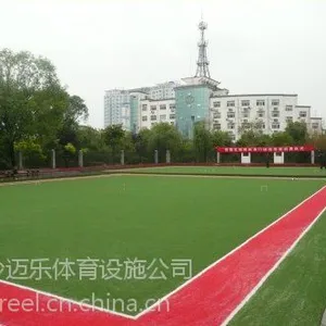 供应湖南长沙株洲湘潭怀化永州郴州人造草坪门球场