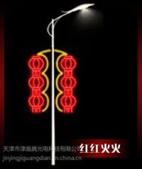 津冀光电 ed灯杆造型灯 led景观灯 led造型灯庭院灯 圣诞装饰灯