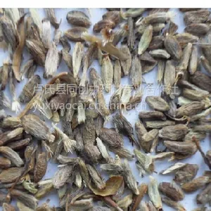 新产改良白术种子多少钱，优质品种，产地批发销售价格