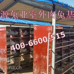 供应长毛兔一只多少钱、长毛兔养殖前景、长毛兔种兔价格