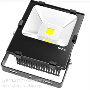 70W 防水LED投光灯