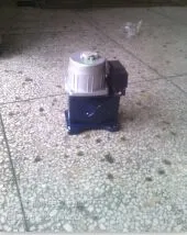 ����й������ŵ��