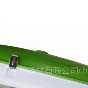 供应无极灯路灯
