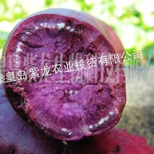 供应紫薯