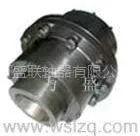 供应GIICLZ型鼓形齿式联轴器 鼓形齿式联轴器