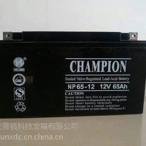 供应供应12V17AH铅酸蓄电池 厂家直销 现货供应 质保一年