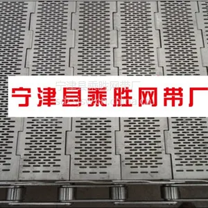 清洗机冲孔输送链板