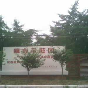 邳州市富行银杏苗木购销部