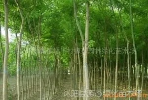 ��Ӧ��������������������˿��������������