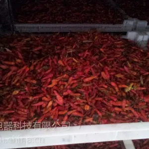 供应辣椒热泵烘干设备批发