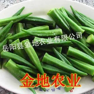 供应黄秋葵_黄秋葵种子_黄秋葵种植_赠送黄秋葵种植技术
