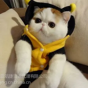 ��Ӧ����DHL���|DHL���ʻ���|DHL������˾|DHL����ػ�