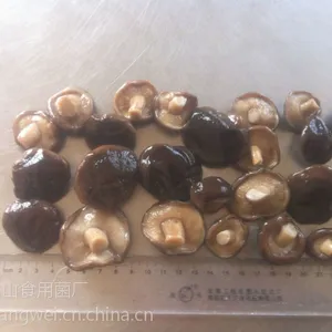 供应盐渍香菇，出口内销，数量稳定，常年供应。