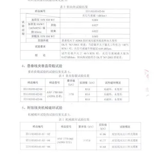 型式试验报告