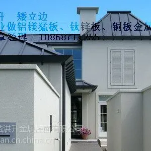 供应供应 铝镁锰钛锌板屋面板墙面板材料