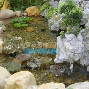 供应【昆山市别墅鱼池水过滤、净化 我们***】