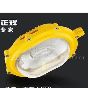 供应内场防爆应急泛光灯