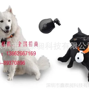 ������� ���� ֧����¼���� �����¼��