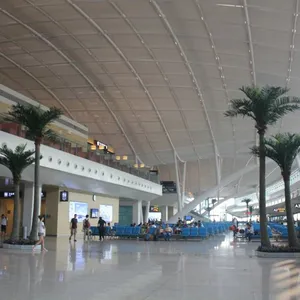 仿真椰子树仿真棕榈树仿真植物热带海滩风景树酒店大厅摆放装饰