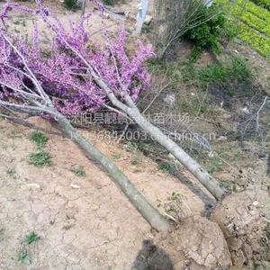 ��Ӧ�Ͼ���60-150���ָ� ������ �Ͼ����� ���Ͼ� �Ͼ� �۸�