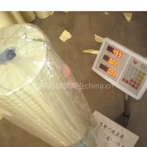 供应电焊网技术|电焊网圈玉米网